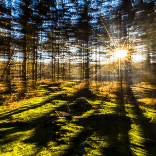 24.05.2026 17:00 Uhr: Was wäre unser Leben ohne Musik?
