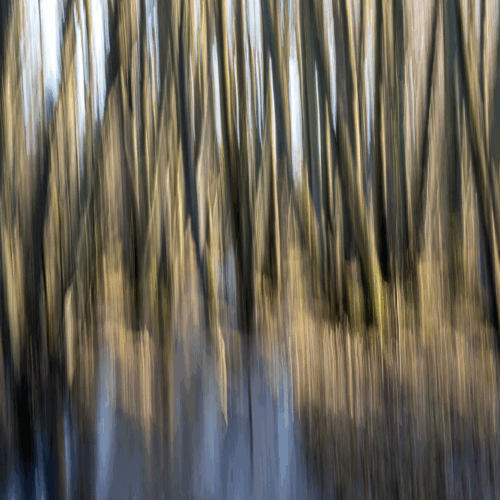 10.05.2026 17:00 Uhr: Irrungen und Wirrungen der Gefühle – liebende Frauen bei Stefan Zweig